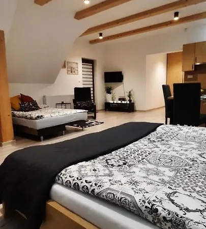 U Piotra Apartment Czarny Dunajec