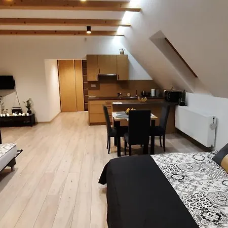 U Piotra Apartment Czarny Dunajec