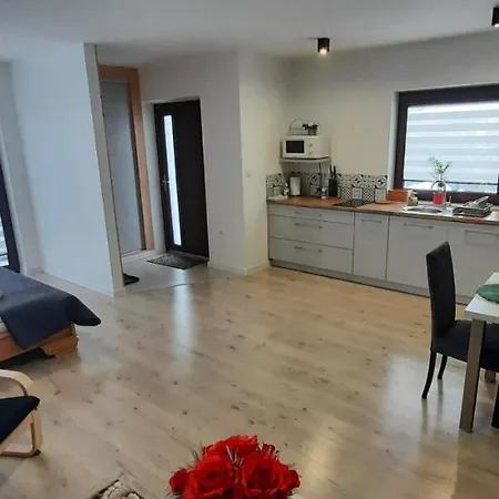 U Piotra Apartment Czarny Dunajec